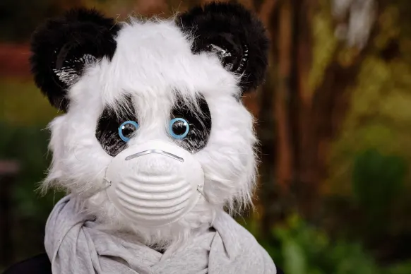 Stay Kazino Atbalsts